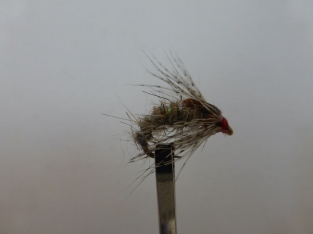 Size 18 Holy Grail Bead Head barbless